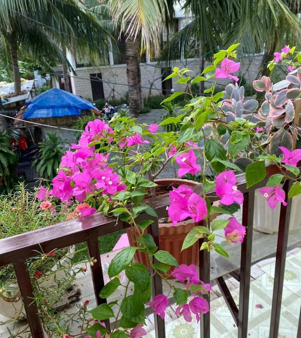 Cuong Thinh Homestay Hoi An 0*,